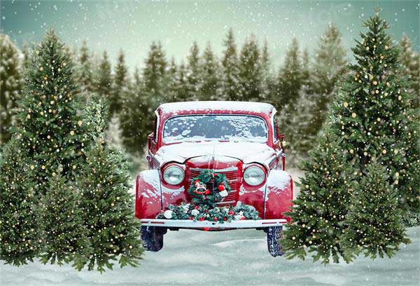 Kate Weihnachtsbaum Schnee Winter Auto Hintergrund für die Fotografie Weihnachten - Kate Backdrop.de