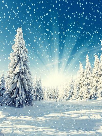 Katebackdrop：Kate Winter Backgrounds Sunshine Snowfield Photography Backdrop