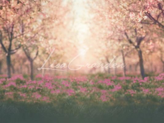 Katebackdrop£ºKate Spring Cherry Blossoms Orchard Backdrop for Photography Designed by Lisa Granden