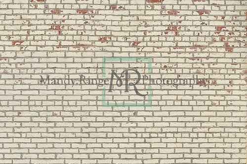 Kate Schäbig Sahne Backstein mit dicken Linien hintergrund für Fotografie Entworfen Mandy Ringe  Photography