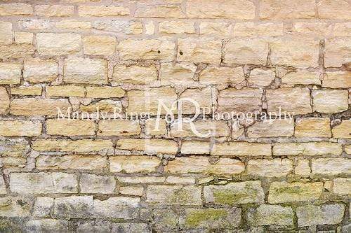 Katebackdrop£ºKate Cream Stone Wall Backdrop Designed By Mandy Ringe Photography