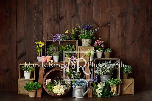 Kate Frühlings Blumenkisten  hintergrund für Fotografie Entworfen durch Mandy Ringe Photography