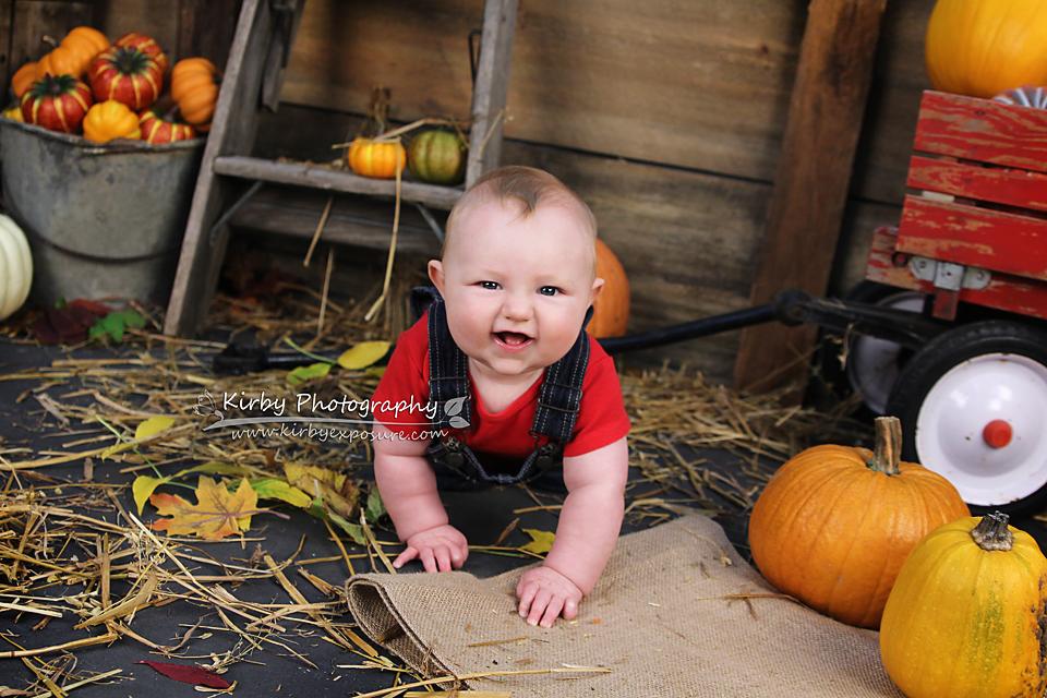 Kate Pumpkin Harvest Backdrop Herbst und Halloween von Arica Kirby entworfen - Kate Backdrop.de