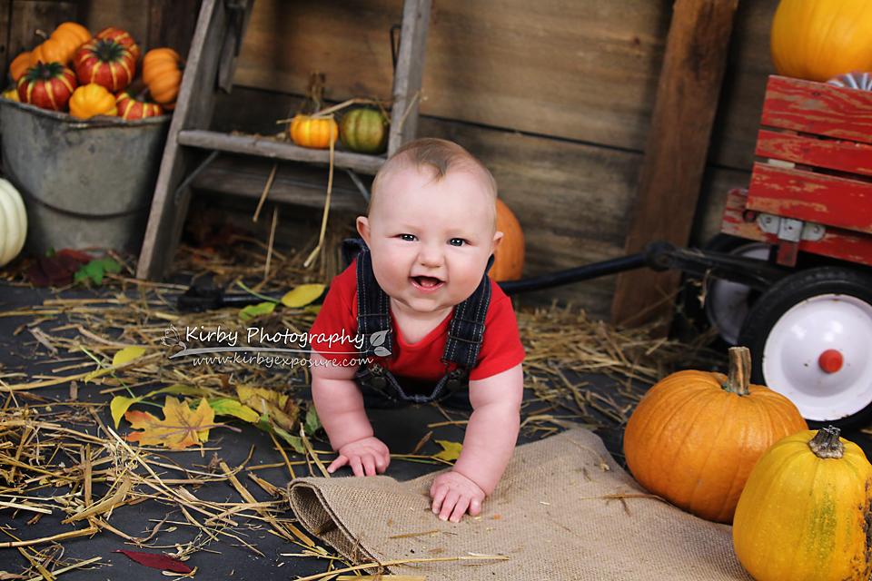 Kate Pumpkin Harvest Backdrop Herbst und Halloween von Arica Kirby entworfen