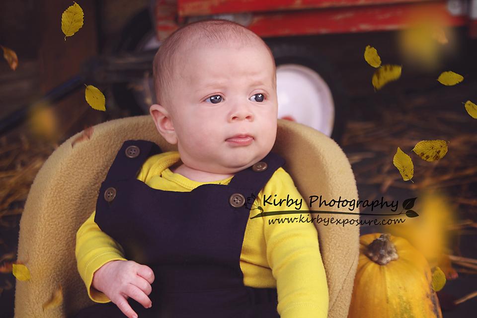 Kate Pumpkin Harvest Backdrop Herbst und Halloween von Arica Kirby entworfen - Kate Backdrop.de