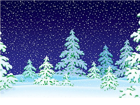 Katebackdrop：Kate Christmas Blue Sky Snow Tree Photography Backdrop