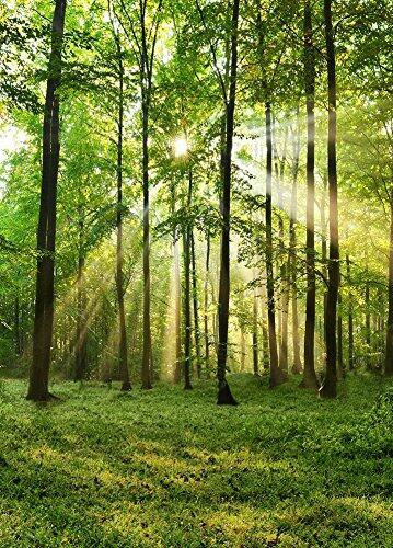 Katebackdrop：Kate Spring Easter Forest Backdrop Shine photography