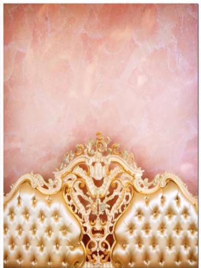 Katebackdrop：Kate Newborn Pink Wall Golden Headboard boudoir Backdrop