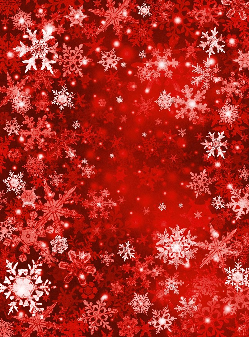 Katebackdrop：Kate Red Snowflake Winter holiday Christmas Backdrops Photos