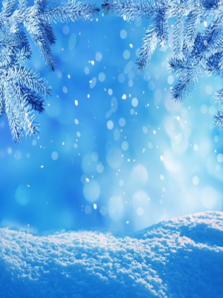Katebackdrop：Kate Winter Whiter Snow Scene Christmas Backdrop