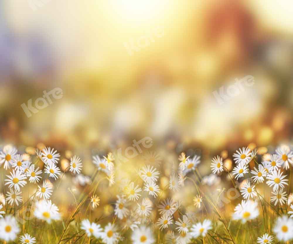 Kate Frühling/Sommer Bokeh Hintergrund Gänseblümchen von Chain Photography - Kate Backdrop.de