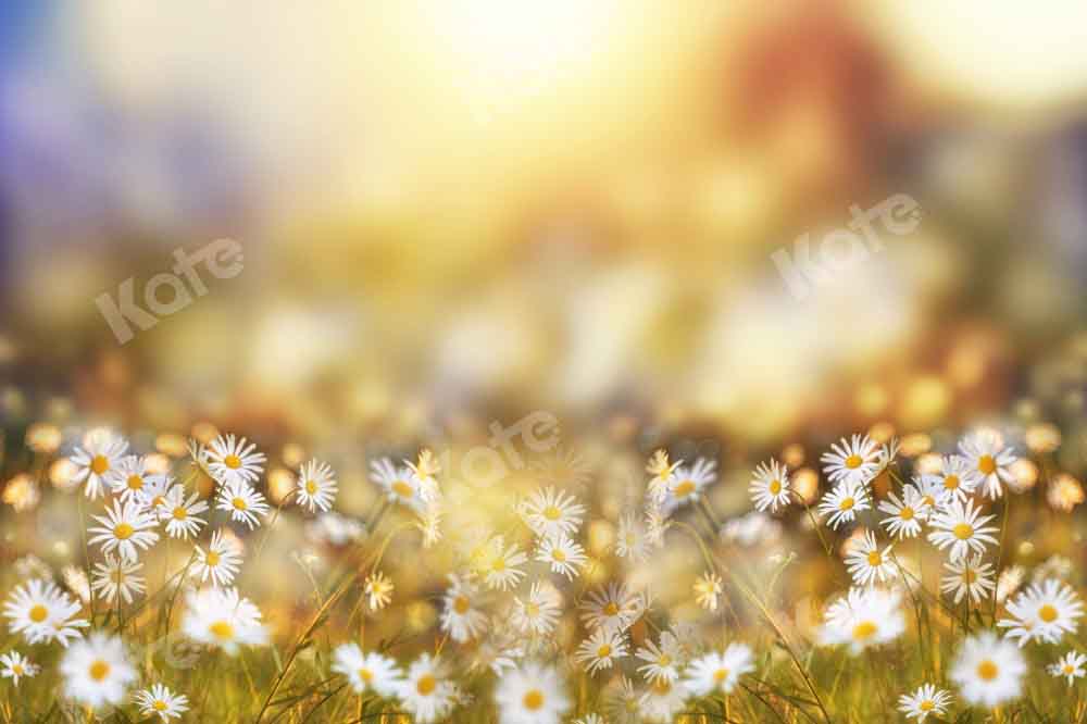 Kate Frühling/Sommer Bokeh Hintergrund Gänseblümchen von Chain Photography - Kate Backdrop.de
