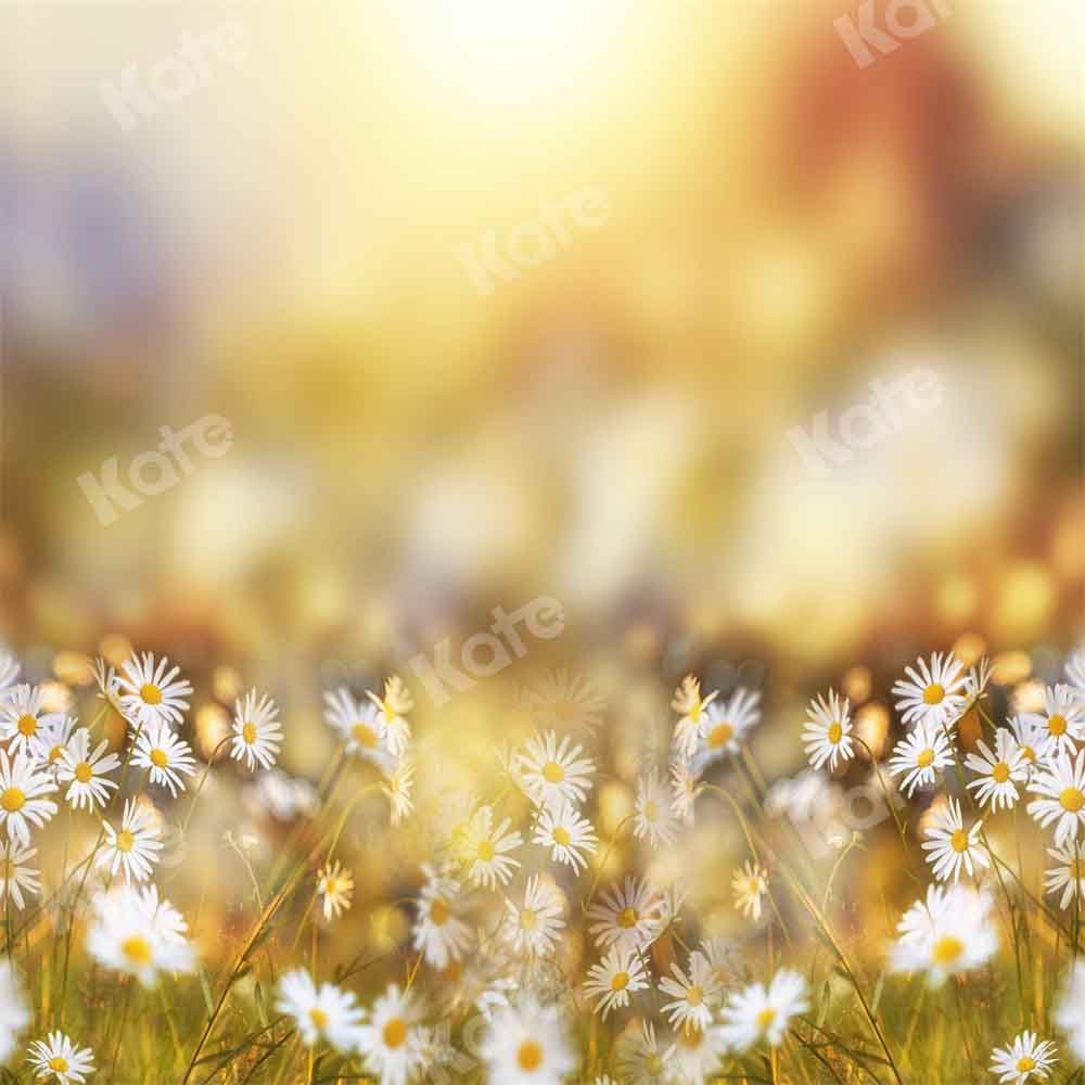 Kate Frühling/Sommer Bokeh Hintergrund Gänseblümchen von Chain Photography - Kate Backdrop.de