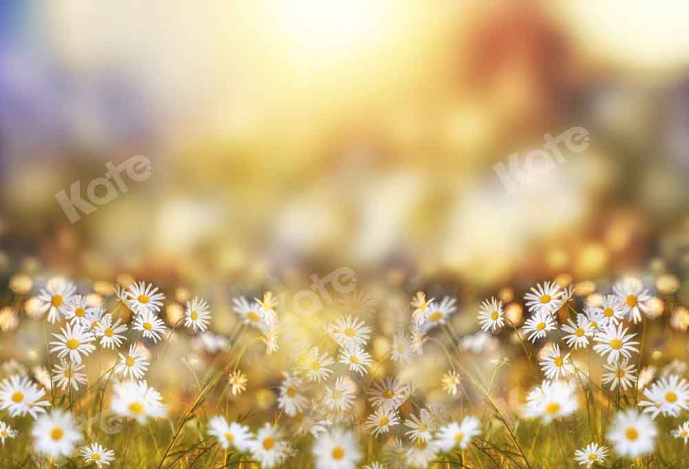 Kate Frühling/Sommer Bokeh Hintergrund Gänseblümchen von Chain Photography - Kate Backdrop.de