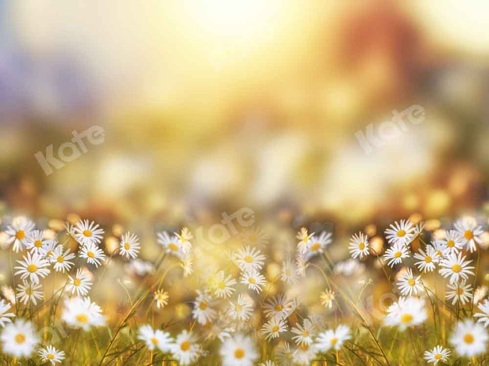 Kate Frühling/Sommer Bokeh Hintergrund Gänseblümchen von Chain Photography - Kate Backdrop.de