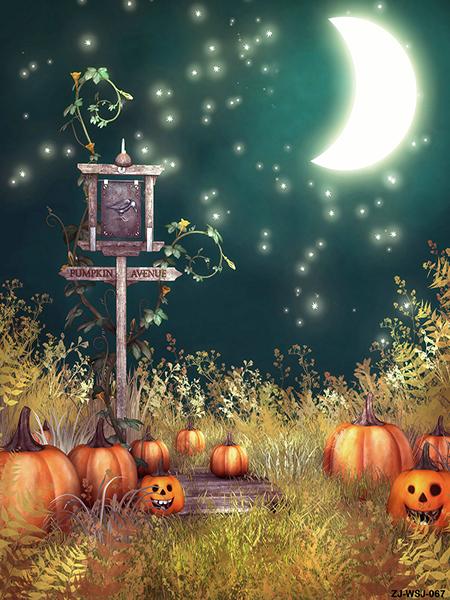 Katebackdrop：Kate Halloween Backdrop Pumpkin Green Sky with Moon