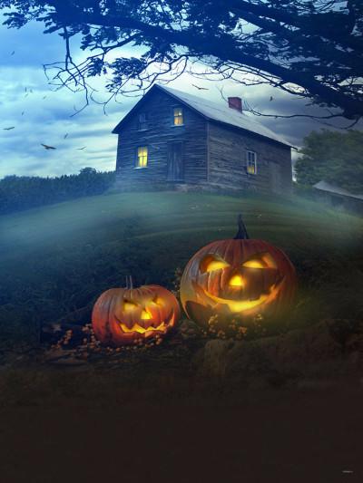Katebackdrop：Kate Halloween Photography Backdrop House Light Pumpkin Lantern