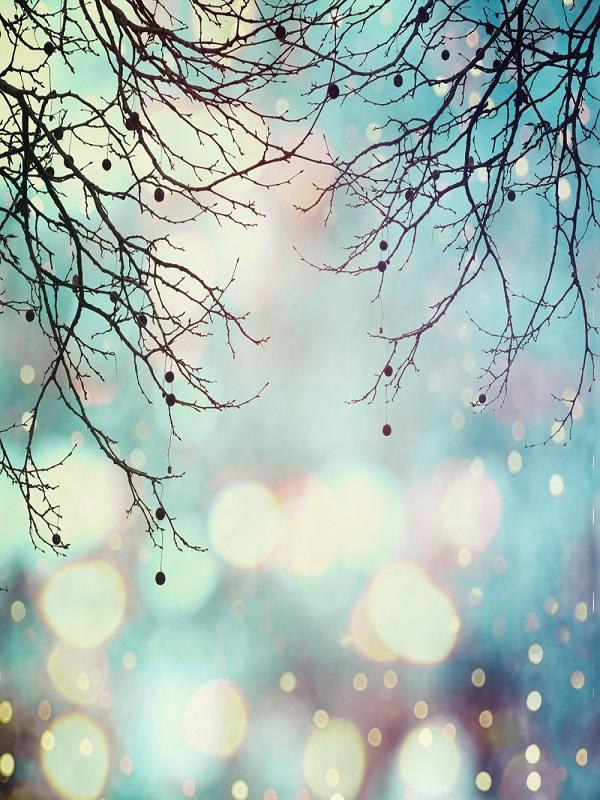 Katebackdrop：Kate Winter Bokeh Branches backdrop for photos