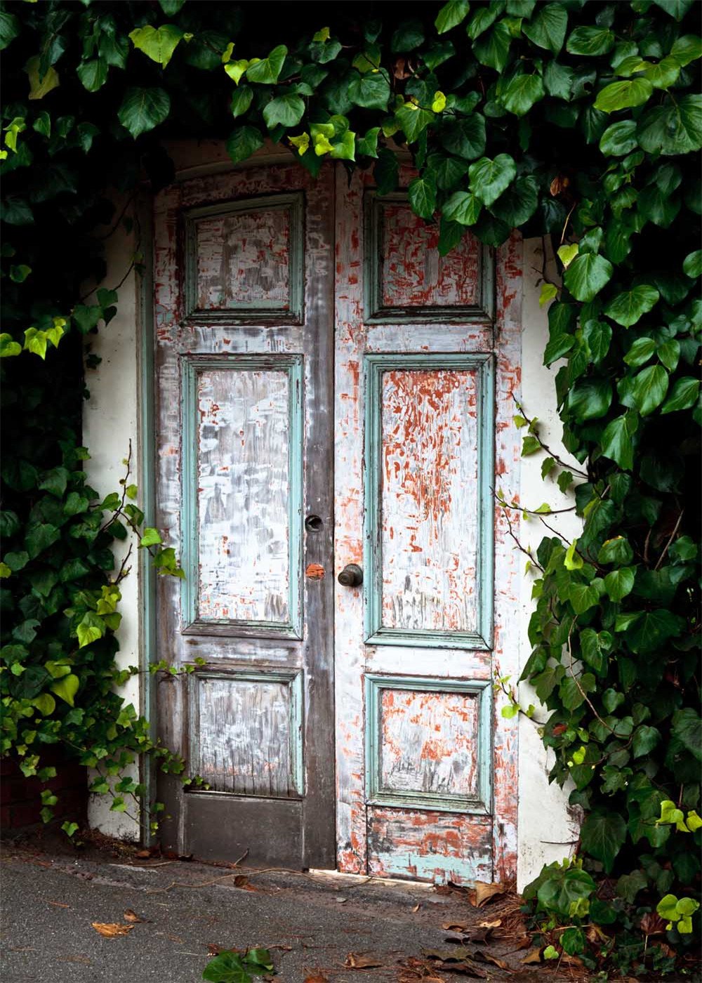 Katebackdrop：Kate Green Leaves Vintage White Door Backdrop for Photography