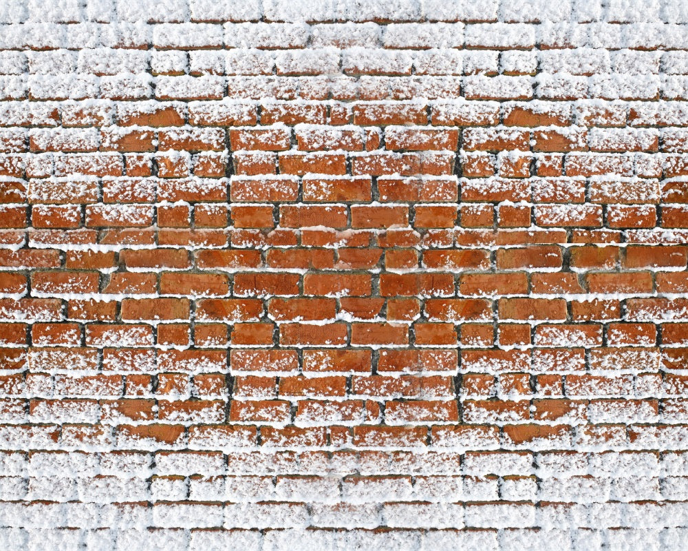 Kate Schnee Rot Backstein Wand Bodenmatte - Kate Backdrop.de