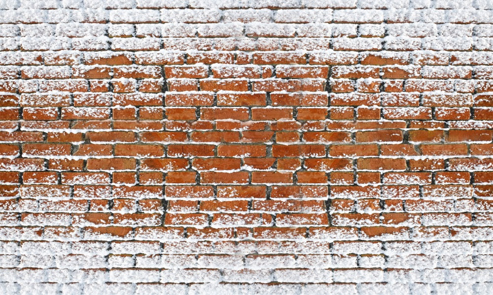 Kate Schnee Rot Backstein Wand Bodenmatte - Kate Backdrop.de