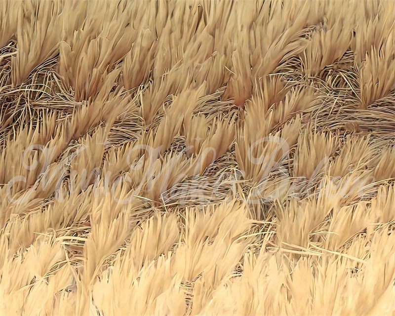 Kate Fine Art Painterly Boho Gelb getrocknetes Gras Bodenmatte für die Fotografie von Mini MakeBelieve