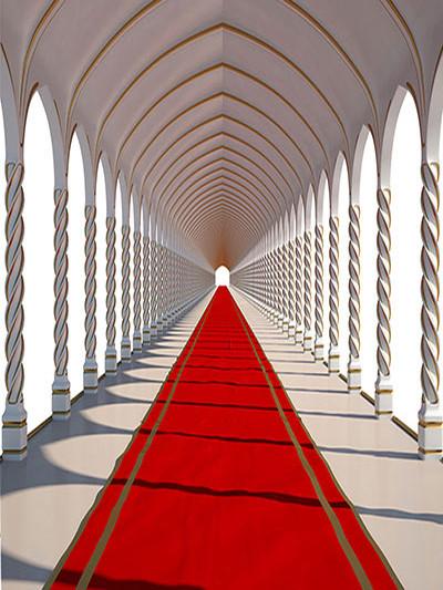 Katebackdrop：Kate Red Carpet Wedding Backdrop Photography