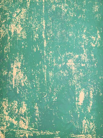 Katebackdrop：Kate Vintage Green Textured Backdrops For Studio
