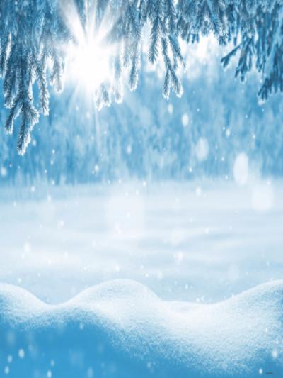 Katebackdrop：Kate Photo Backgrounds Frozen Thick Snow Winter Sun White World