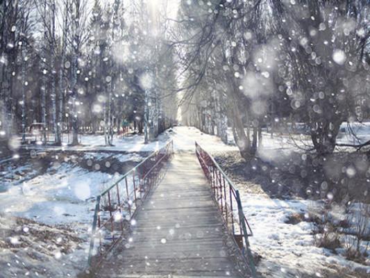 Katebackdrop：Kate Winter Scenery Road With Snow Christmas Backdrops