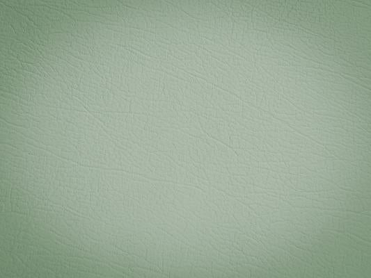 Katebackdrop：Kate Vintage Green Pu Textured Wall Backdrops For Studio