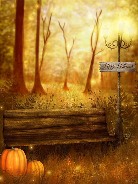 Katebackdrop：Kate Halloween Backdrop Photography Pumpkin Autumn forest for Pictures