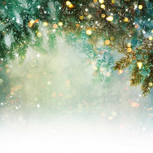 Kate Weihnachten Kieferzweig im bokeh Winter hintergrund Foto