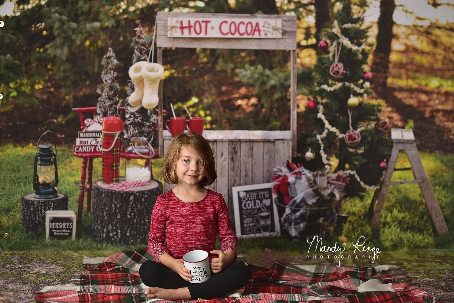 Kate Hot Cocoa Stand Weihnachten Baum Hintergrund von Mandy Ringe Photography