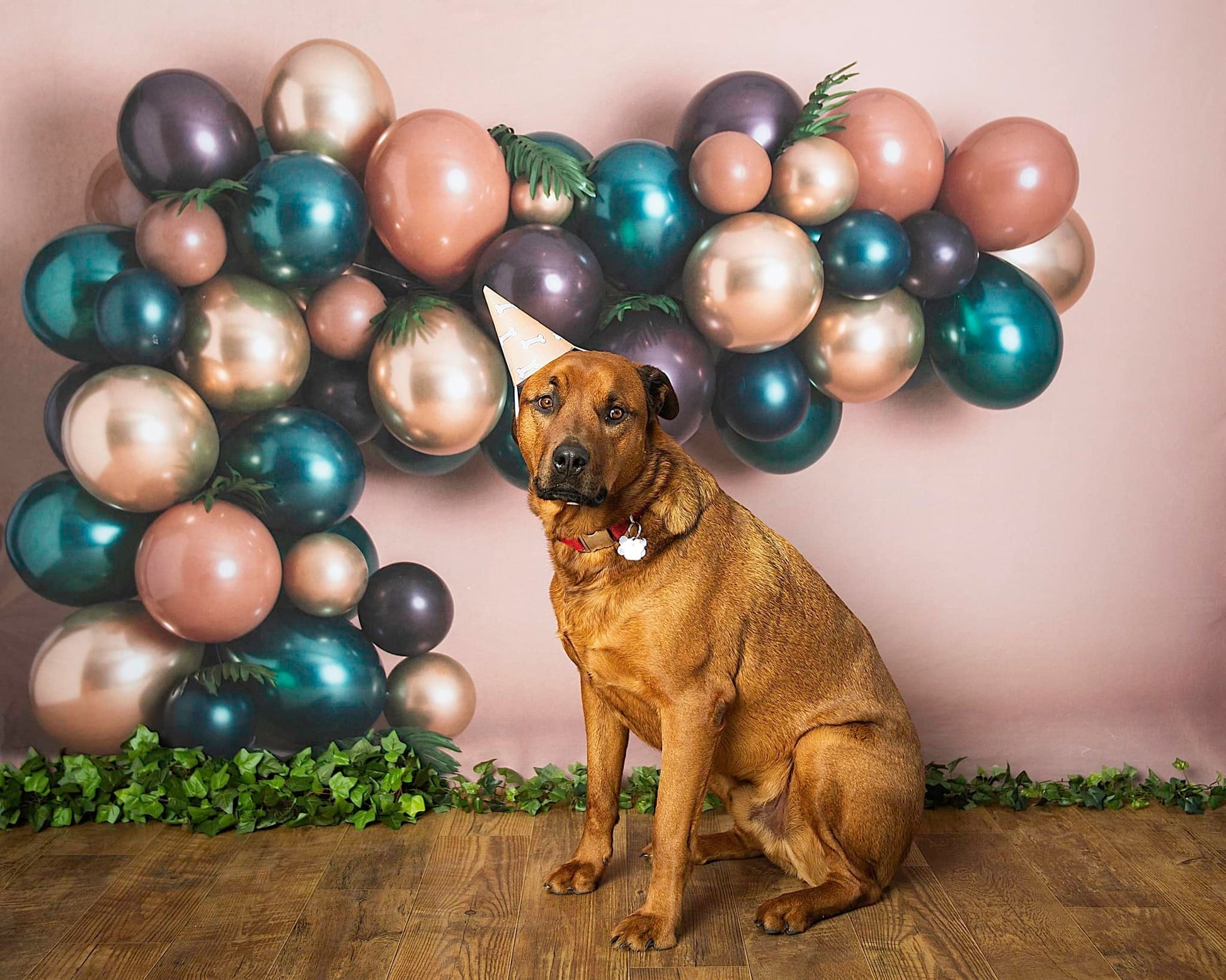 Kate Geburtstag Luftballons Hintergrund von Rose Abbas