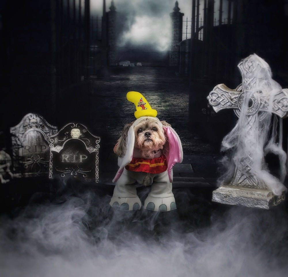 Kate Halloween Stoff Tuch Hintergrund für die Fotografie Spukhaus - Kate Backdrop.de