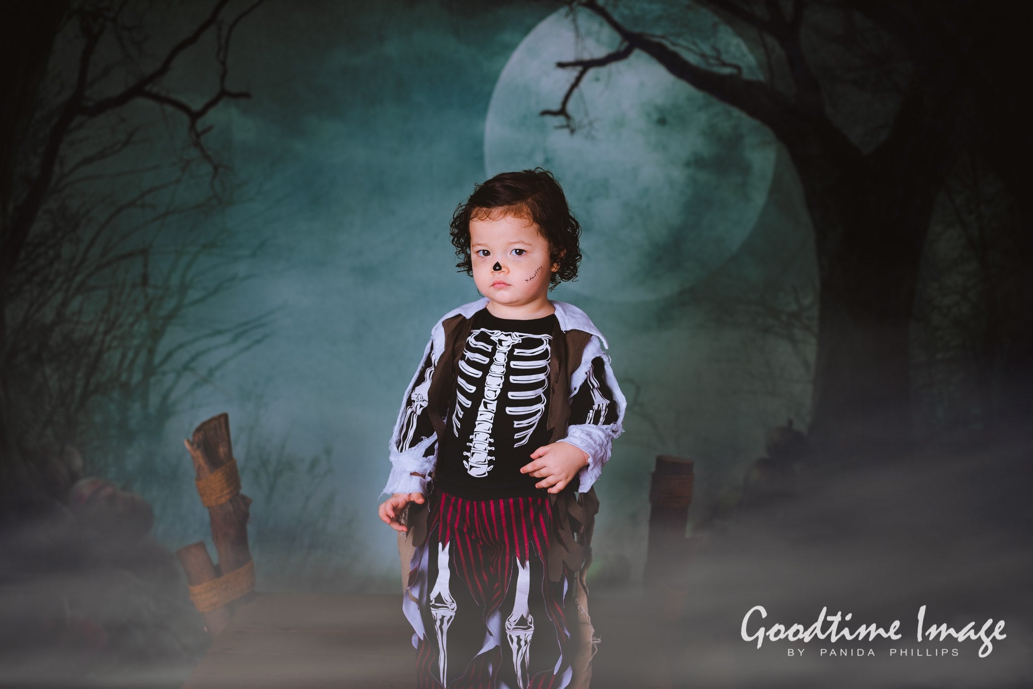 Kate Fotografie Fantastische Halloween Hintergründe Wald Nacht Mond - Kate Backdrop.de