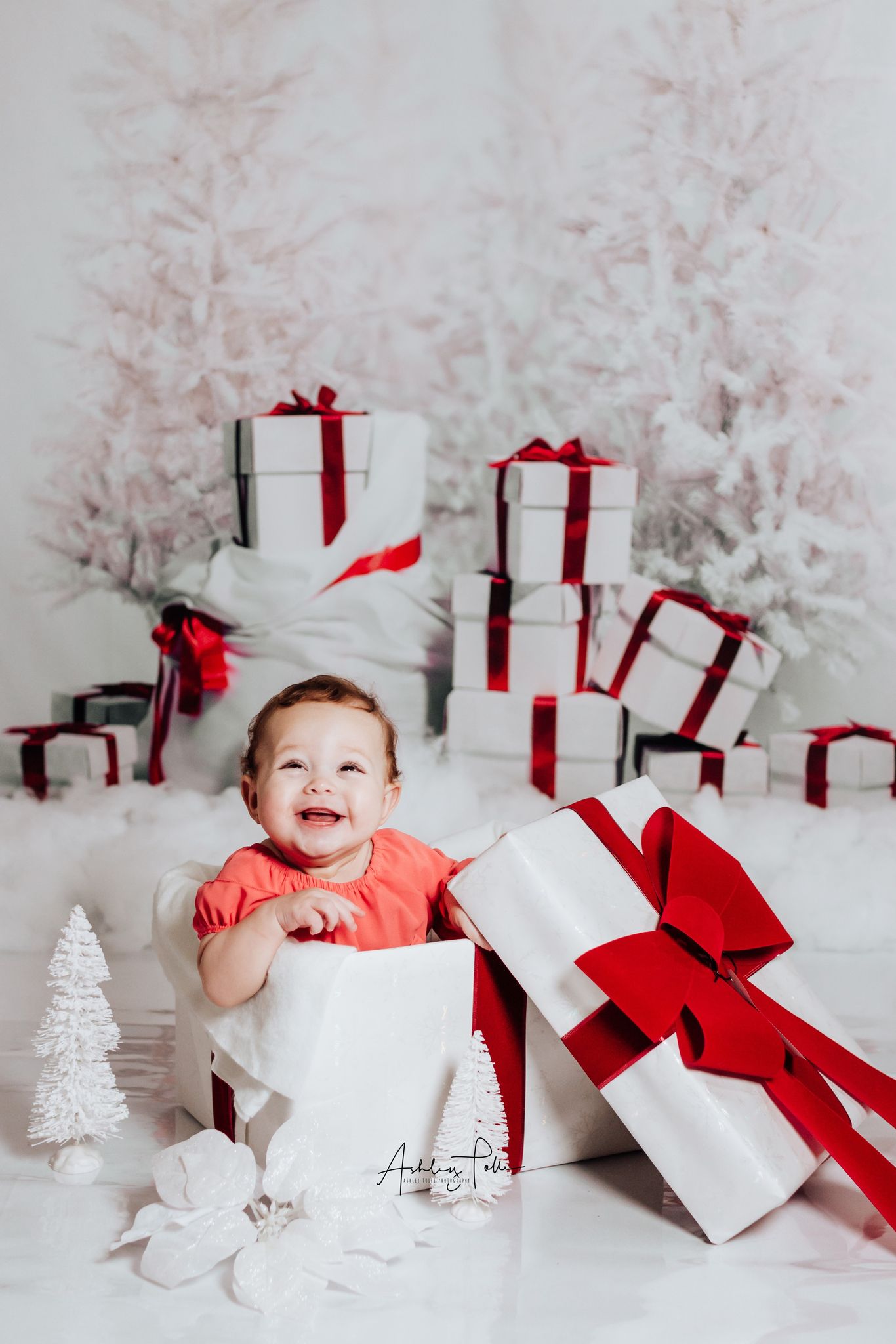 Kate Weihnachten geschenk und Schnee Baum Hintergründe Winter - Kate Backdrop.de