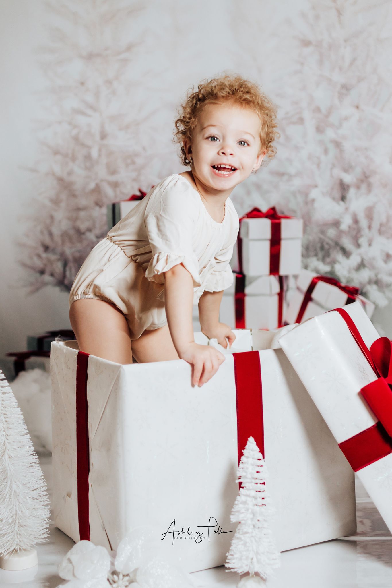 Kate Weihnachten geschenk und Schnee Baum Hintergründe Winter - Kate Backdrop.de