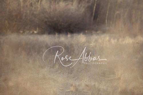 Kate Außen Gras Hintergrund des Herbstes von Rose Abbas