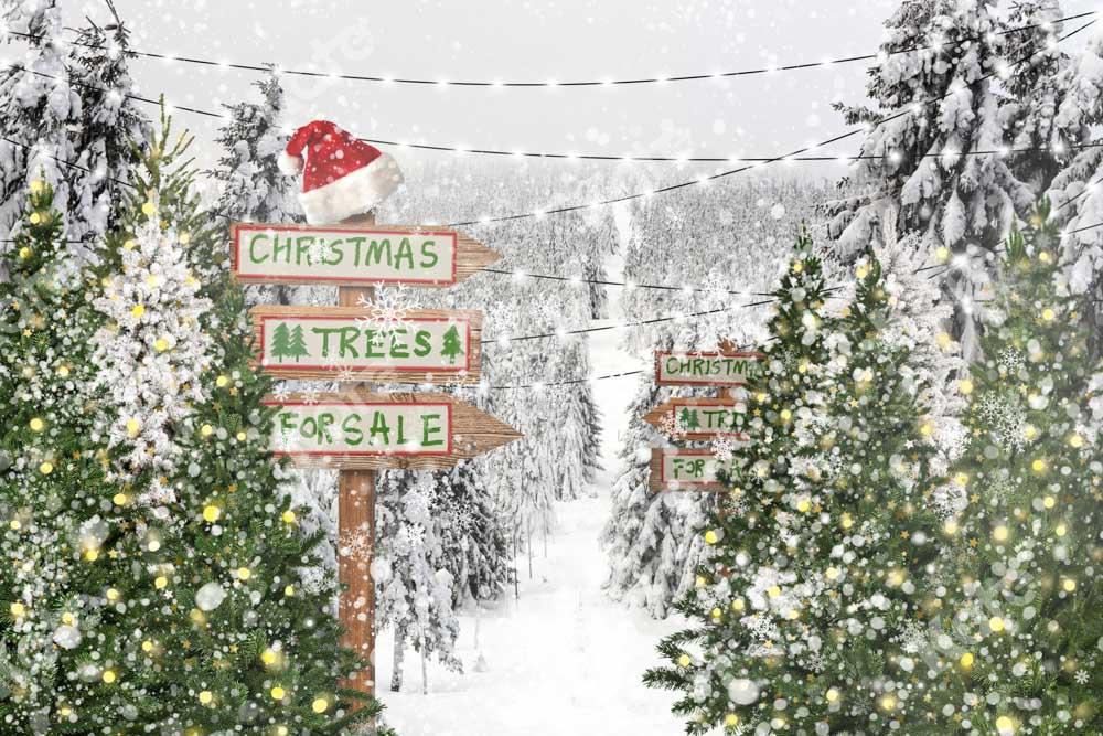 Kate Weihnachtsbaum Schnee Hintergrund Weihnachten Winter von Chain Photography