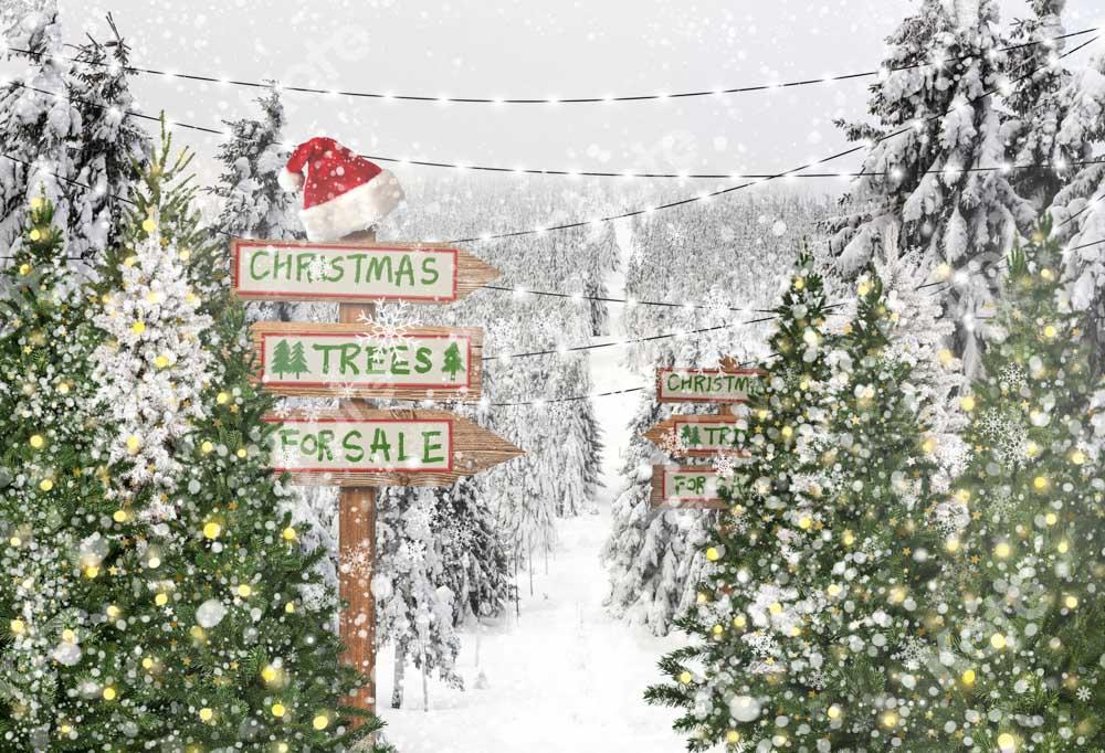 Kate Weihnachtsbaum Schnee Hintergrund Weihnachten Winter von Chain Photography