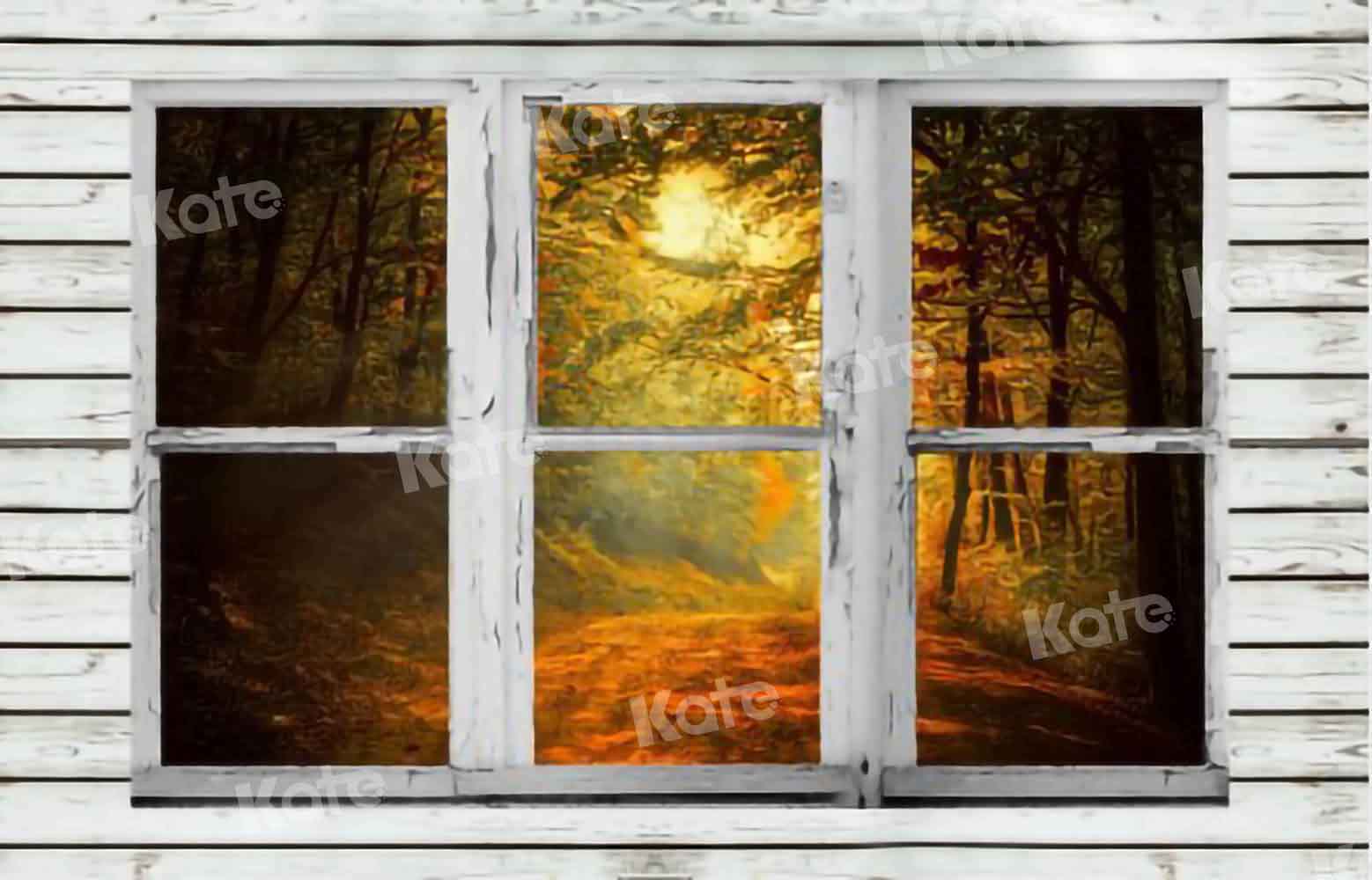 Kate Herbst Wald Hintergrund Fenster für Fotografie von Chain Photography