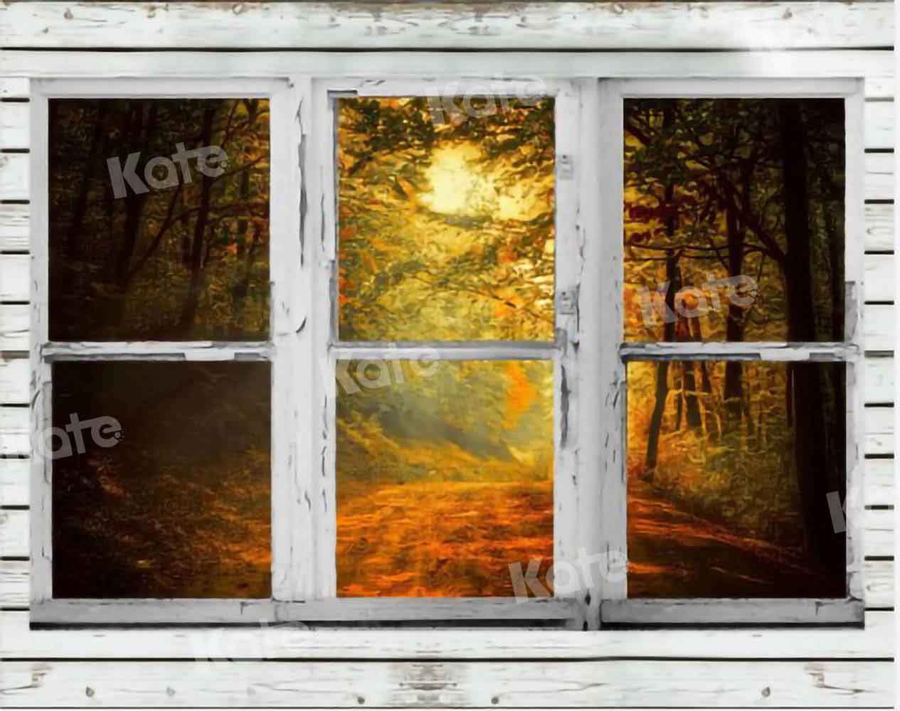 Kate Herbst Wald Hintergrund Fenster für Fotografie von Chain Photography