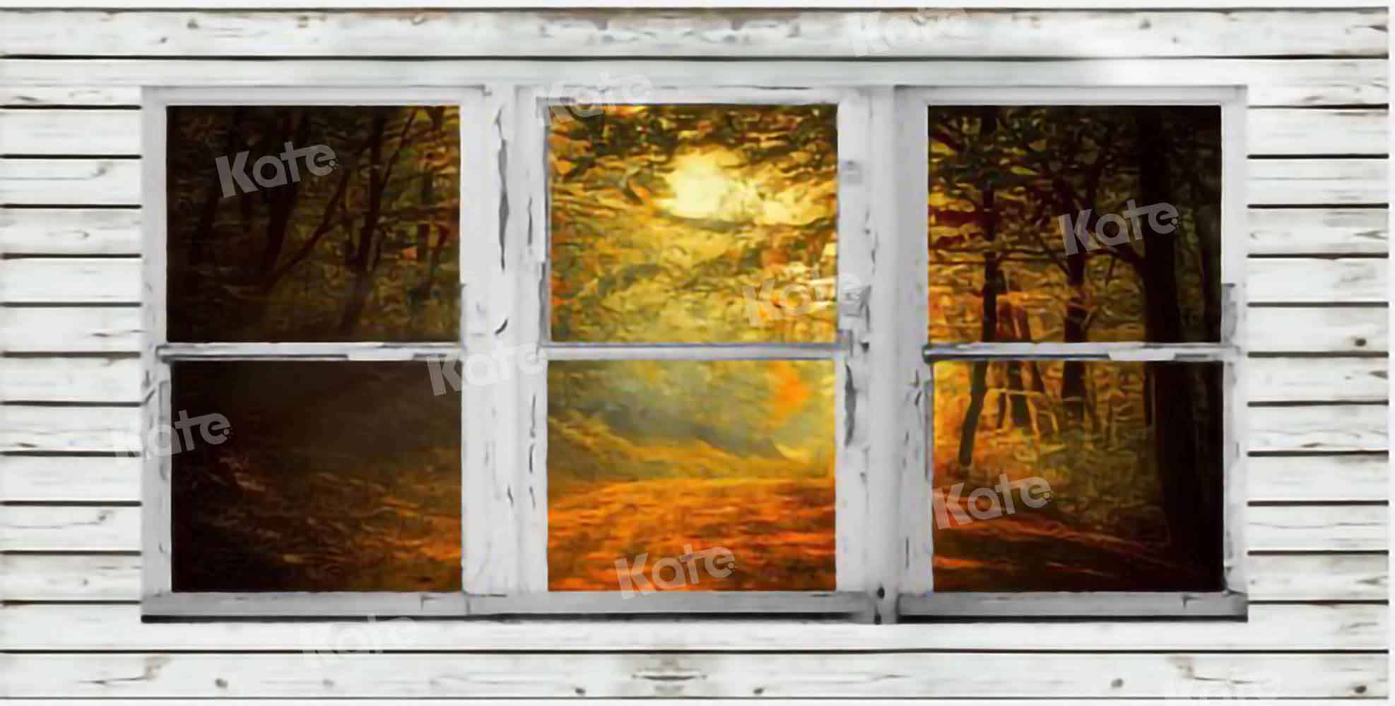 Kate Herbst Wald Hintergrund Fenster für Fotografie von Chain Photography