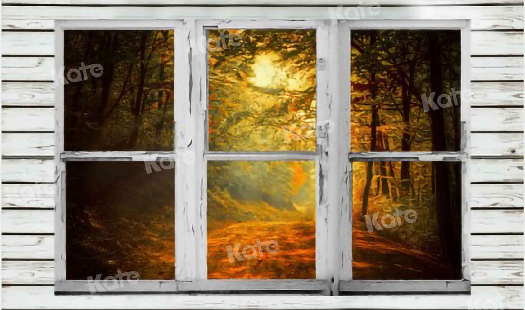 Kate Herbst Wald Hintergrund Fenster für Fotografie von Chain Photography