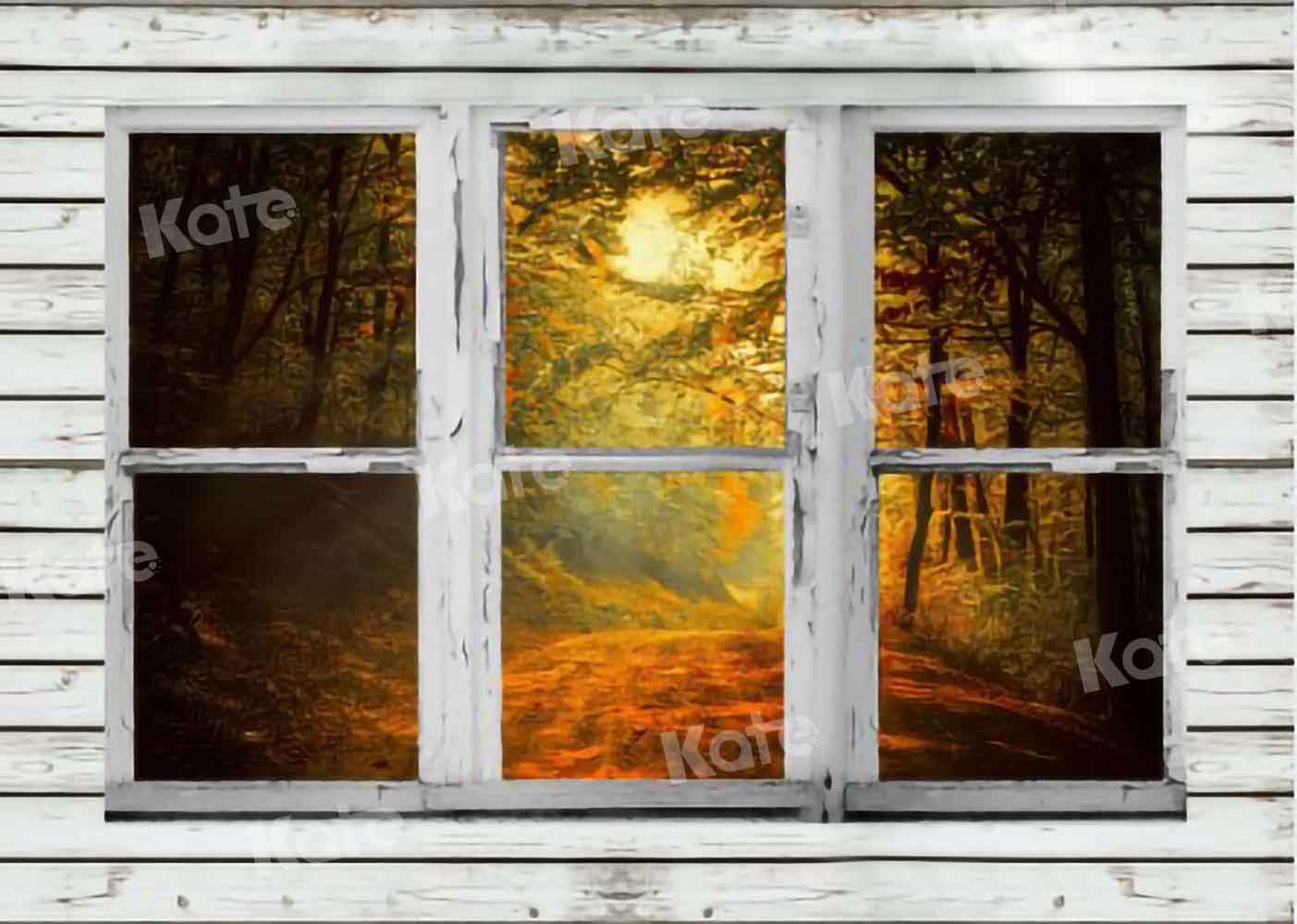 Kate Herbst Wald Hintergrund Fenster für Fotografie von Chain Photography