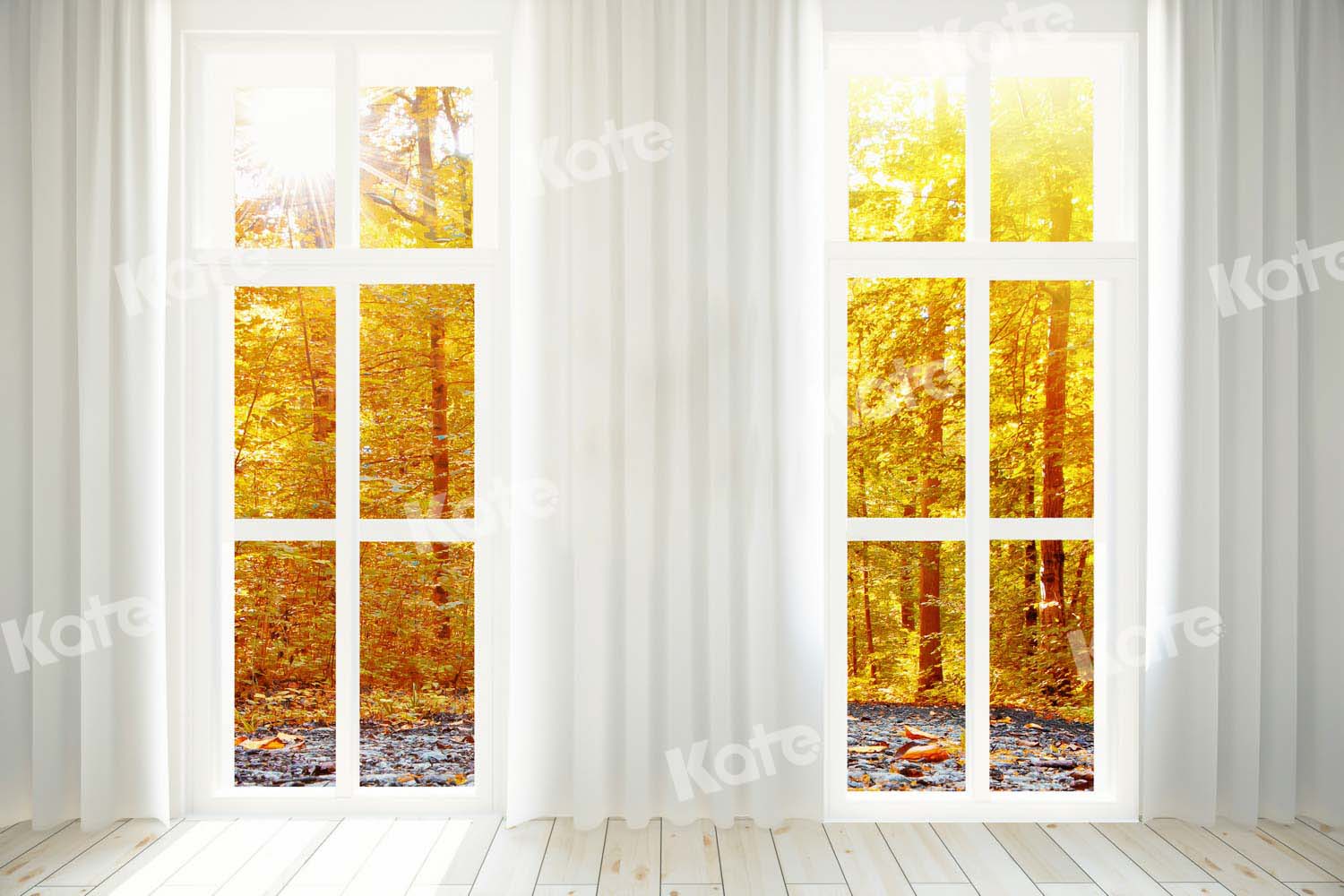 Kate Herbst Wald Fenster Hintergrund für Fotografie von Chain Photography