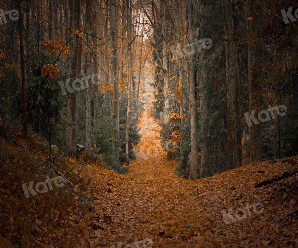 Kate Herbst Ahornblatt Hintergrund Wald Entworfen von Chain Photography