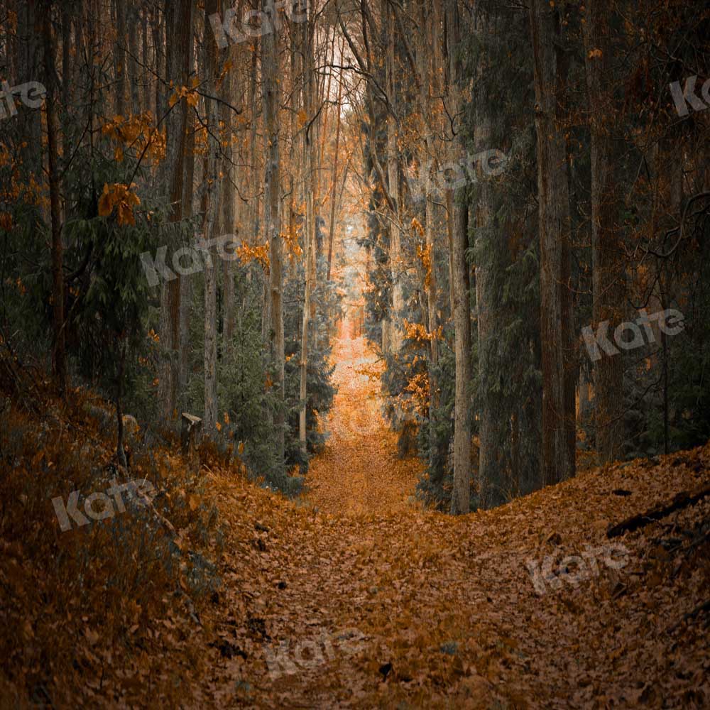 Kate Herbst Ahornblatt Hintergrund Wald Entworfen von Chain Photography